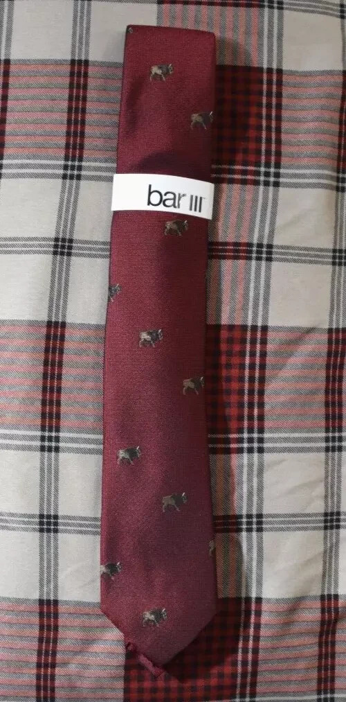 Bar III Men’s Bison Conversational Slim Tie One Size Red