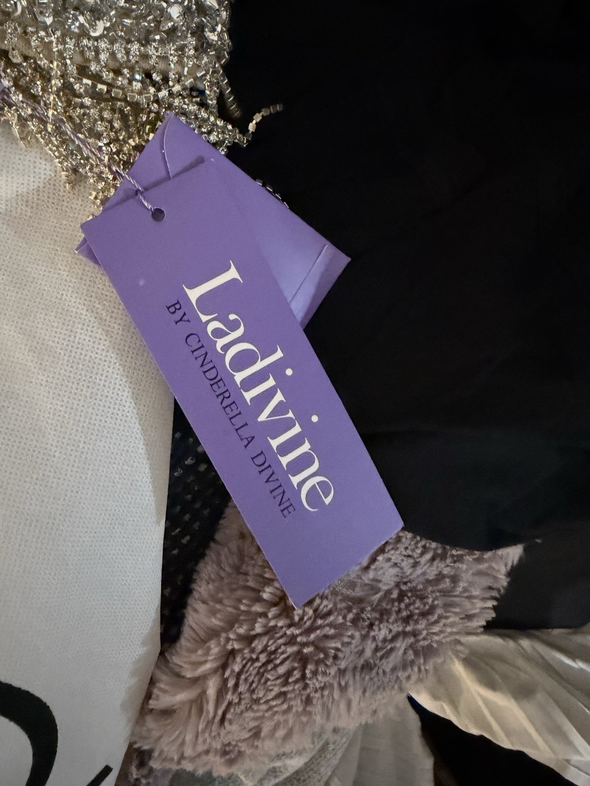 Ladivine by Cinderella Divine dress silver on nude size 4