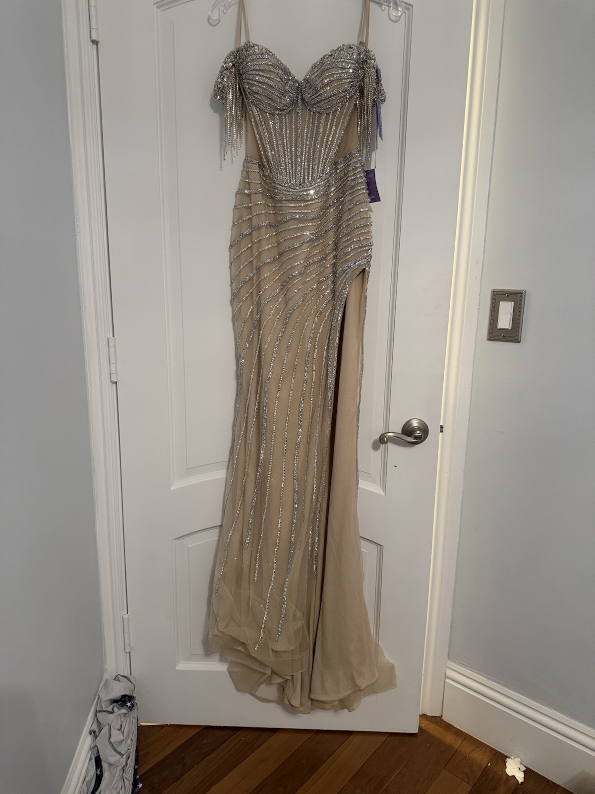 Ladivine by Cinderella Divine dress silver on nude size 4