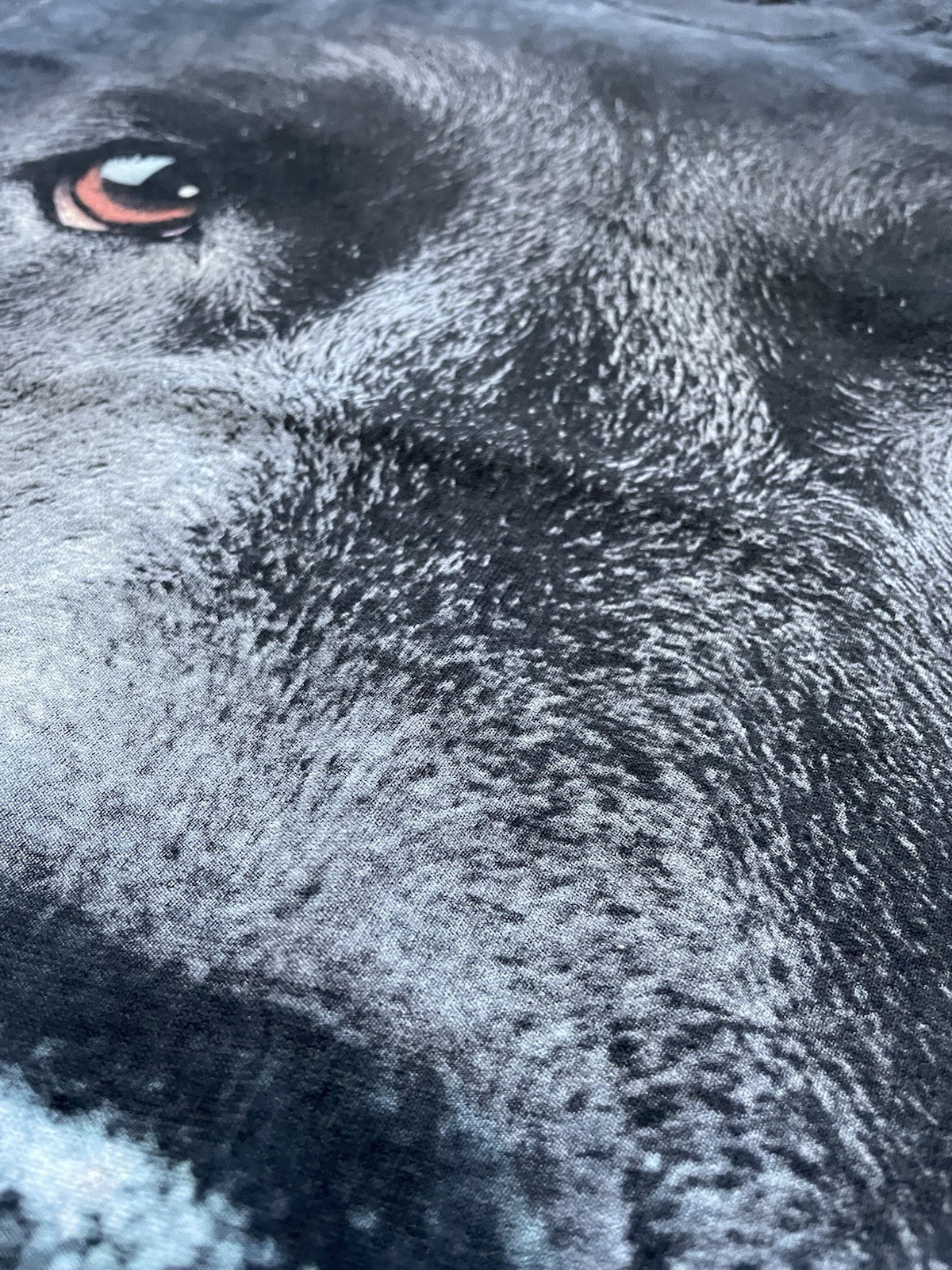 2011 Black Lab dog, vintage all over print tshirt, The Mountain, size medium
