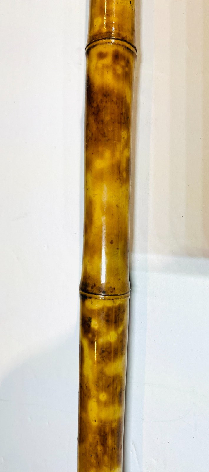 Antique Bamboo Root Crook Handle Walking Stick Cane Natural Burl Asian 30″