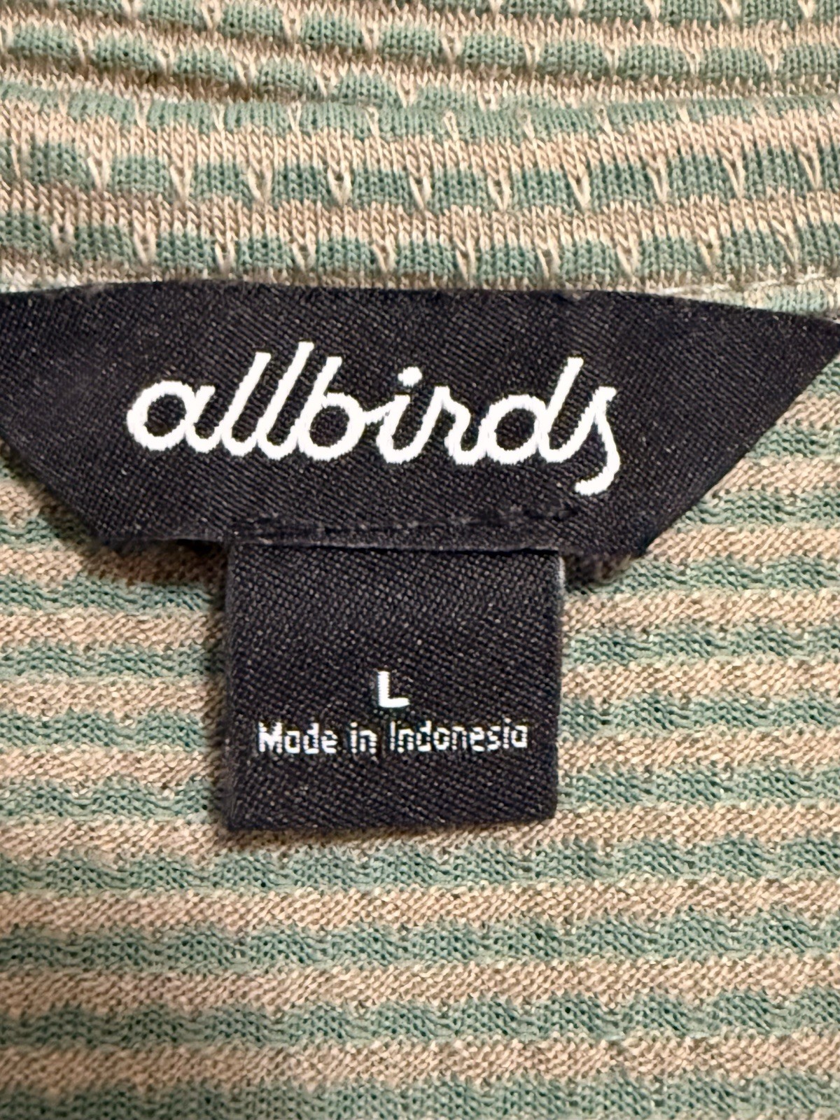 Allbirds Natural Run Tee T-Shirt L Green Striped SS Crew Lightweight Logo