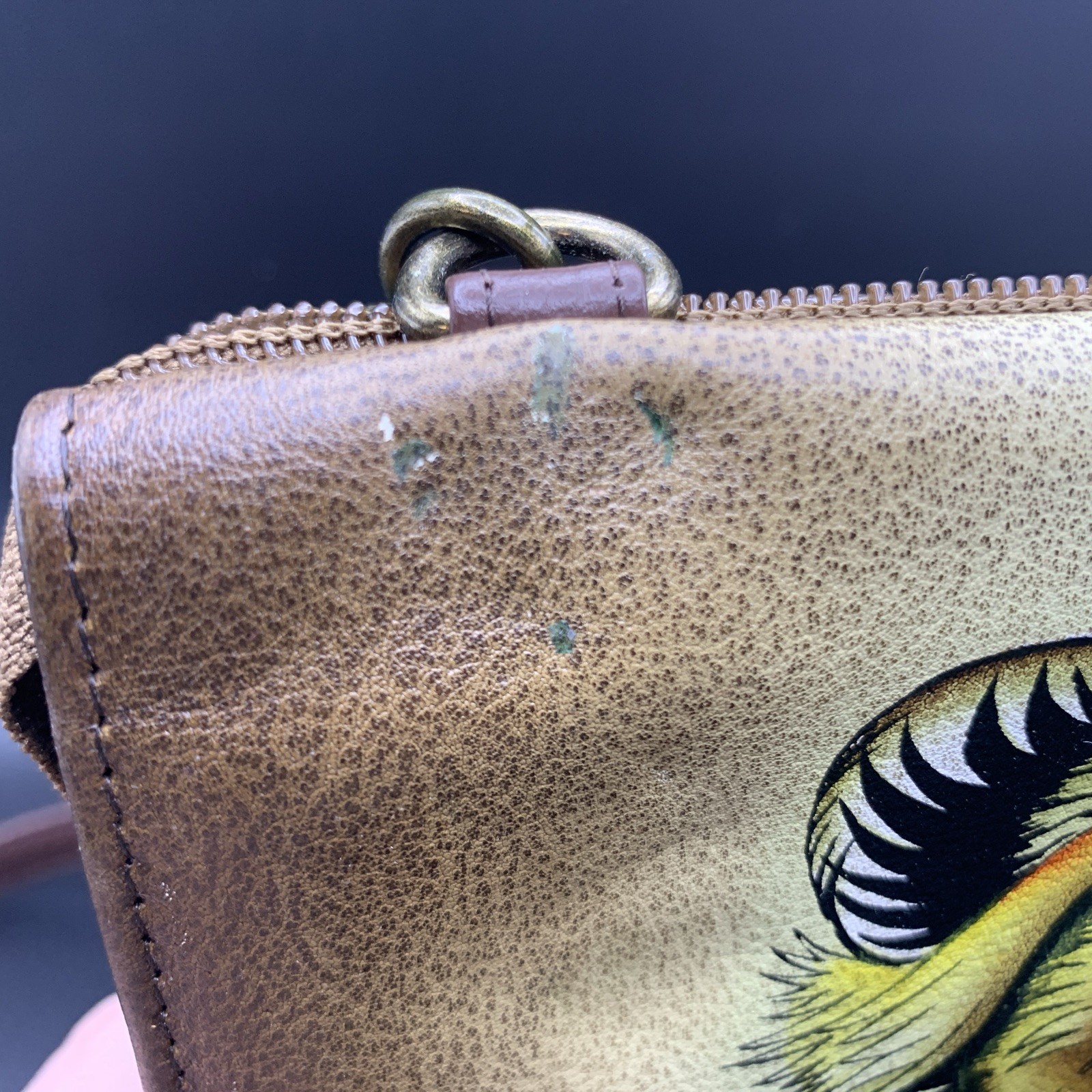Leather Crossbody Bag Anuschka Lion Tan Bag Remov. Strap Card Slots PLEASE READ