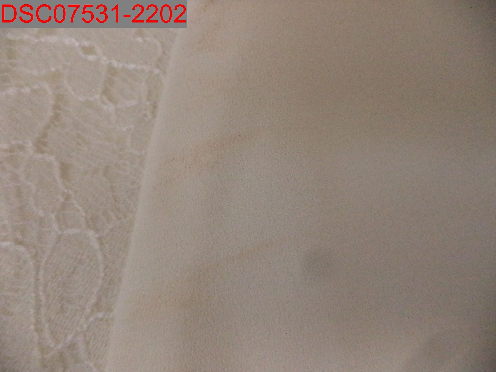 NWT – Stain, Abound Women’s Ivory Lace Trim Crepe Cami Top, Size M 439112773005