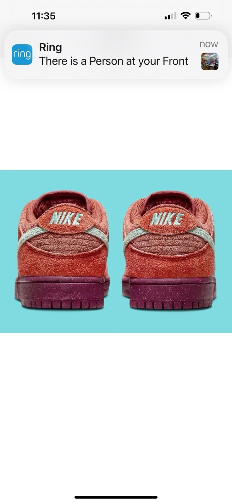 Nike SB Dunk Low ‘Mystic Red’ Emerald Rise DV5429-601 Men’s 6.5 Women’s 8