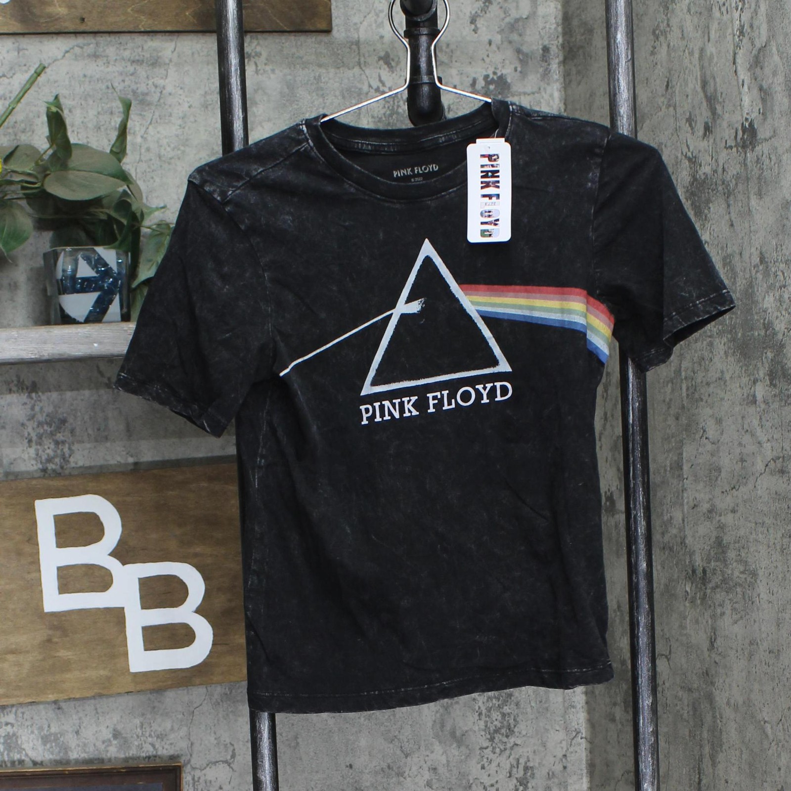 Pink Floyd Boys Screen Print Short Sleeve T-Shirt 980377840-Pink L (10-12) M (8)