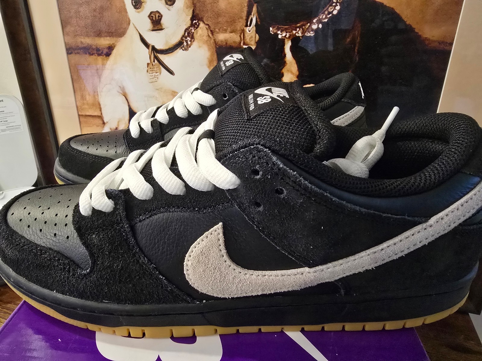 Nike Dunk Low Pro SB Black White Gum Men’s HF3704-003 Men’s Size 10 US NEW