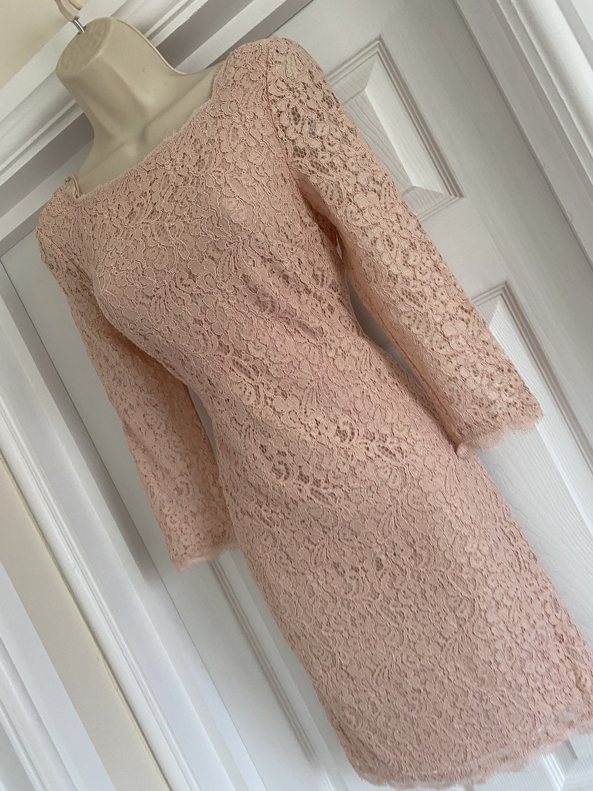 ADRIANNA PAPELL NEW YORK BNWT APPLIQUÉ LACE SIZE 8/10 BLUSH WIGGLE PARTY DRESS