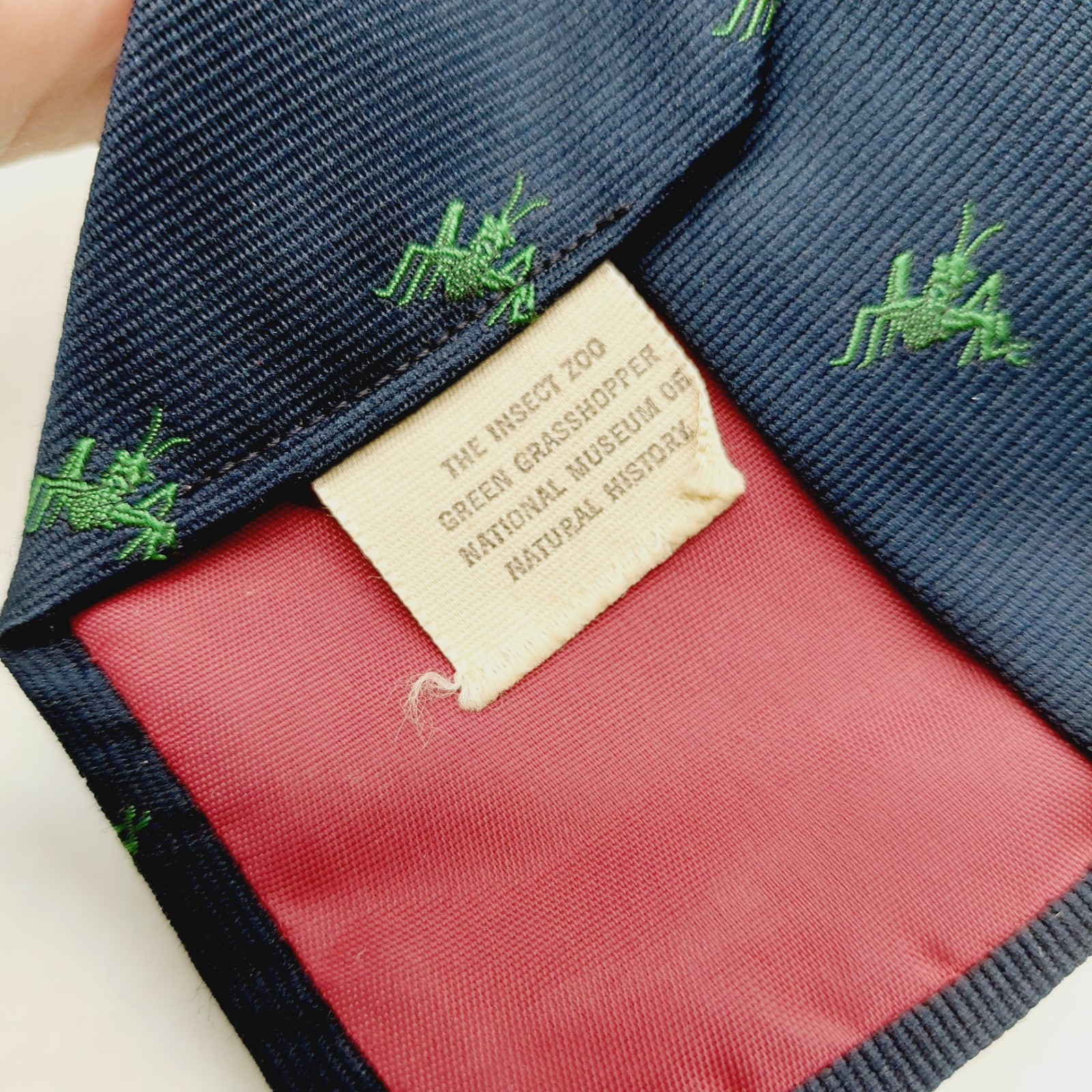 Grasshopper Bug Necktie Blue Green Smithsonian Institution Insects