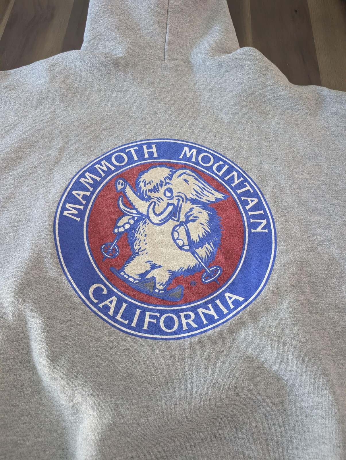 Mammoth Mountain Hoodie Mens XL Gray Soffe Skiing Mammoth Graphic California
