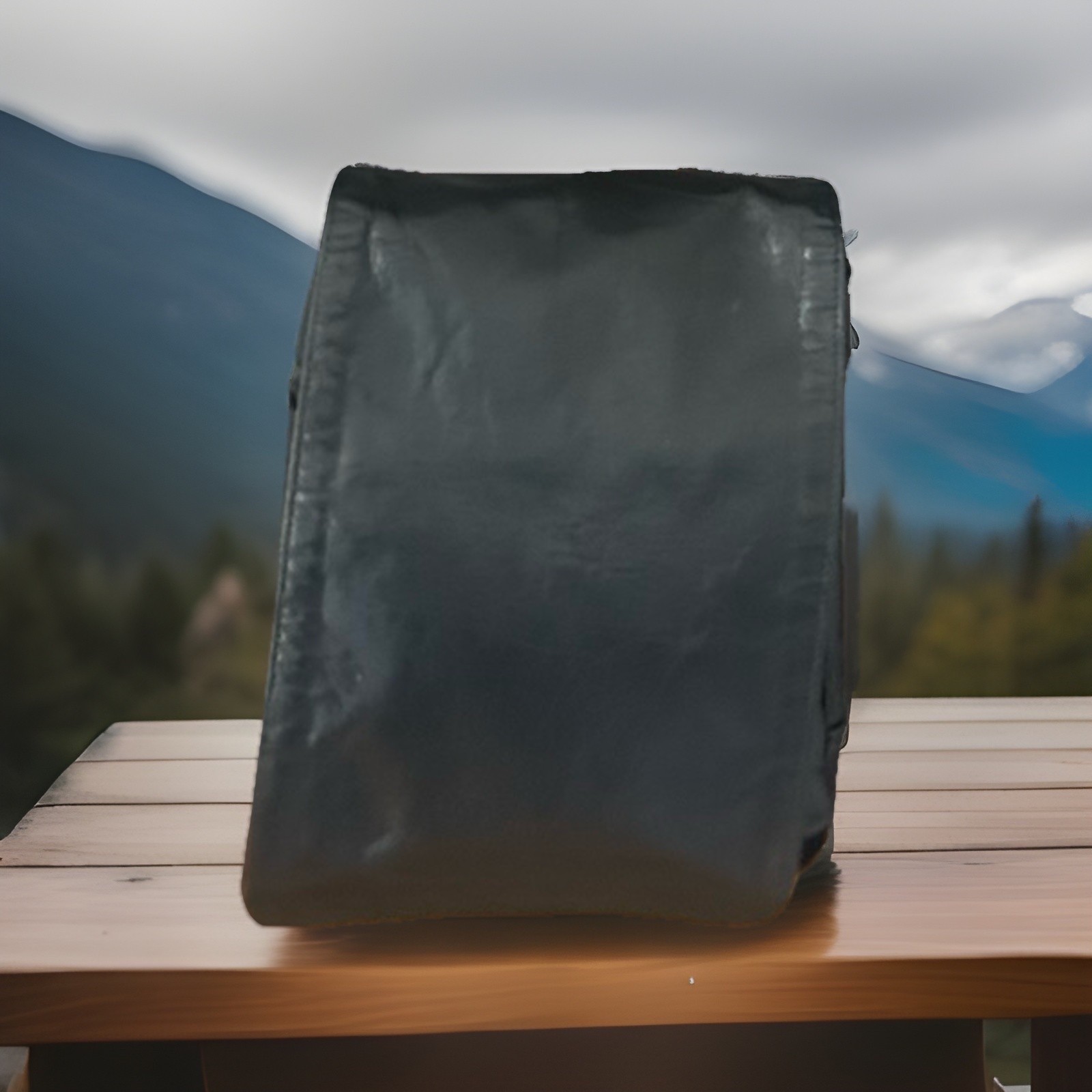 Rudsak Small Crossbody