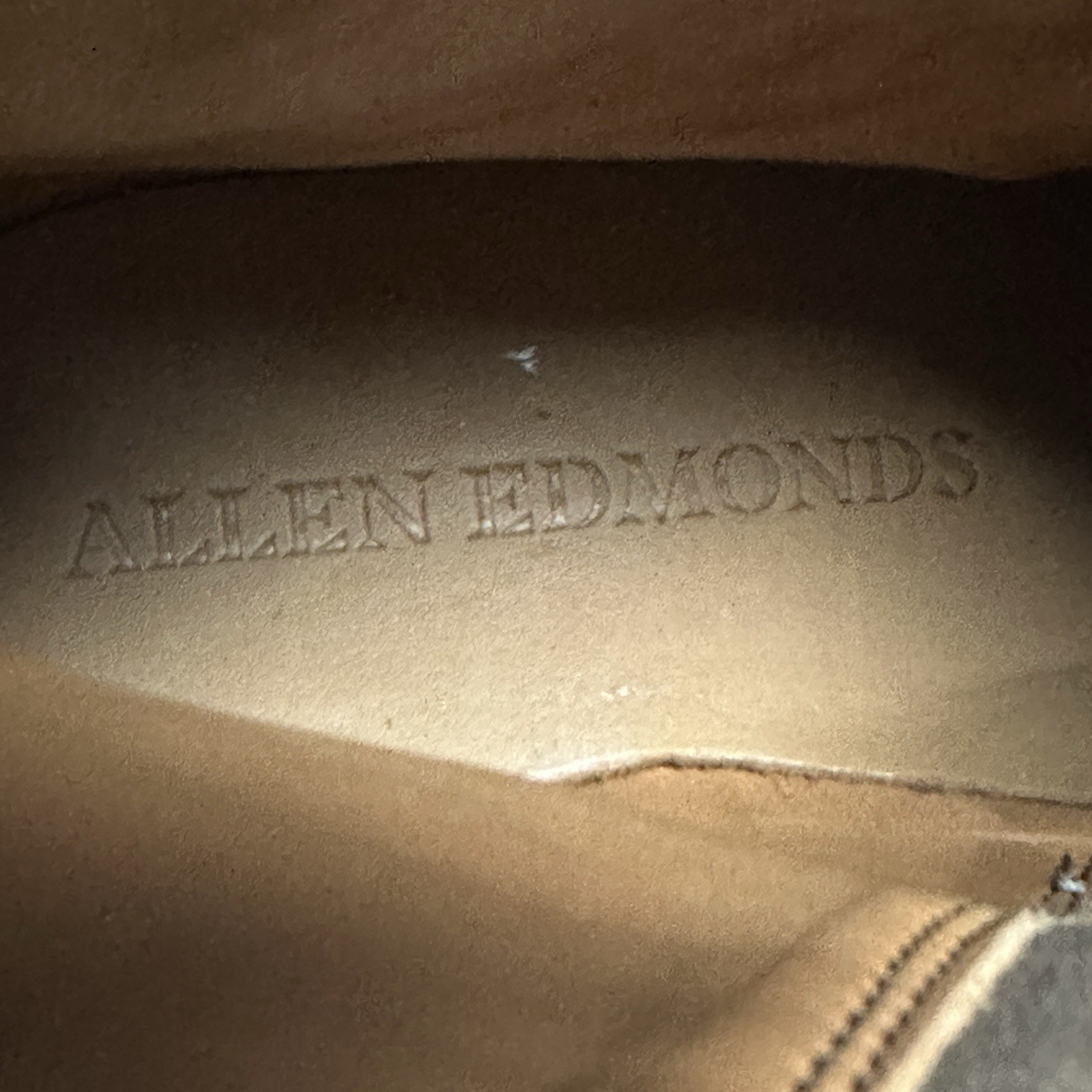 Allen Edmonds Men’s Discovery Moto Boots Sz 10 Suede Side Zip Brown 4929