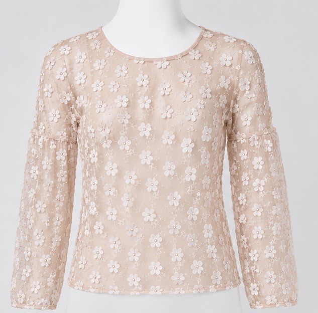 Dylan XS Sheer Floral Mesh Top Blush Pink 3D Applique Fairycore Boho