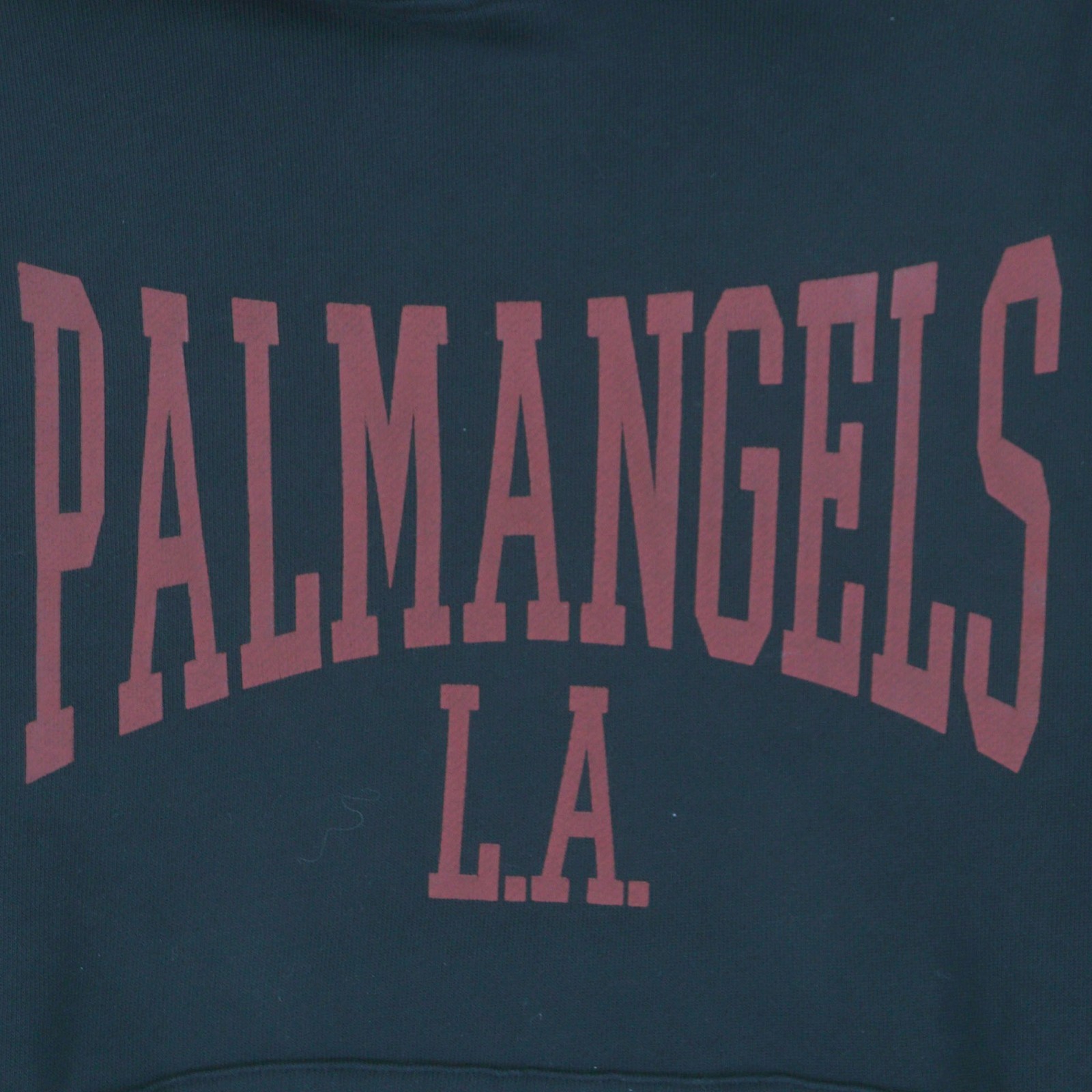 Palm Angels College logo Cotton Hoodie – DUTY FREE