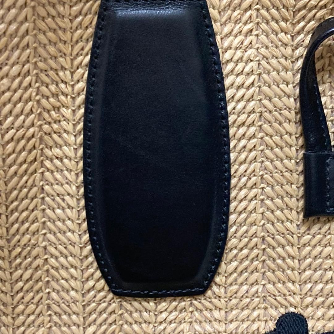 [Excellent Condition] Longchamp Le Panier Pliage Roseau Tote Bag, Made in France