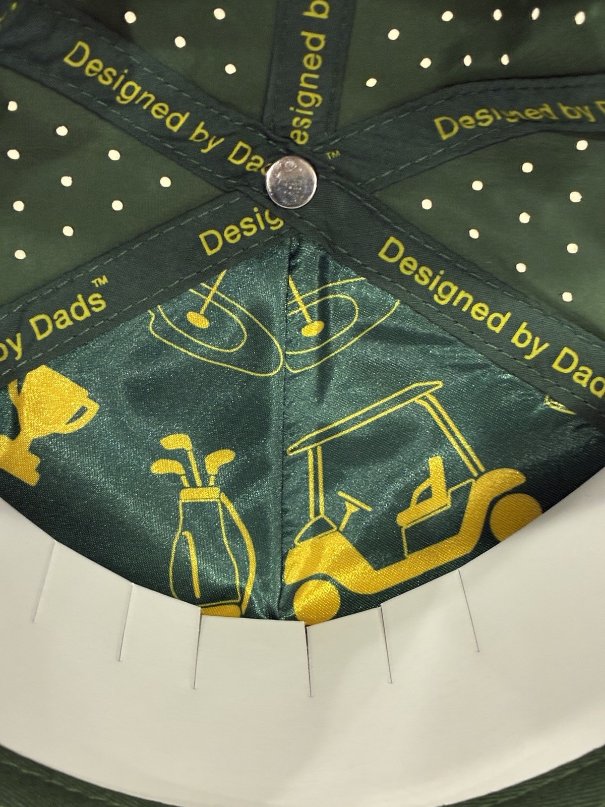 NWT Dad Gang Fairway SnapBack Golf Hat With Tee Green