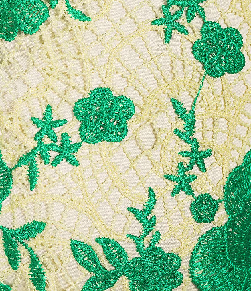 Dillards Alex Marie green/cream crochet midi dress sz 4 NWT