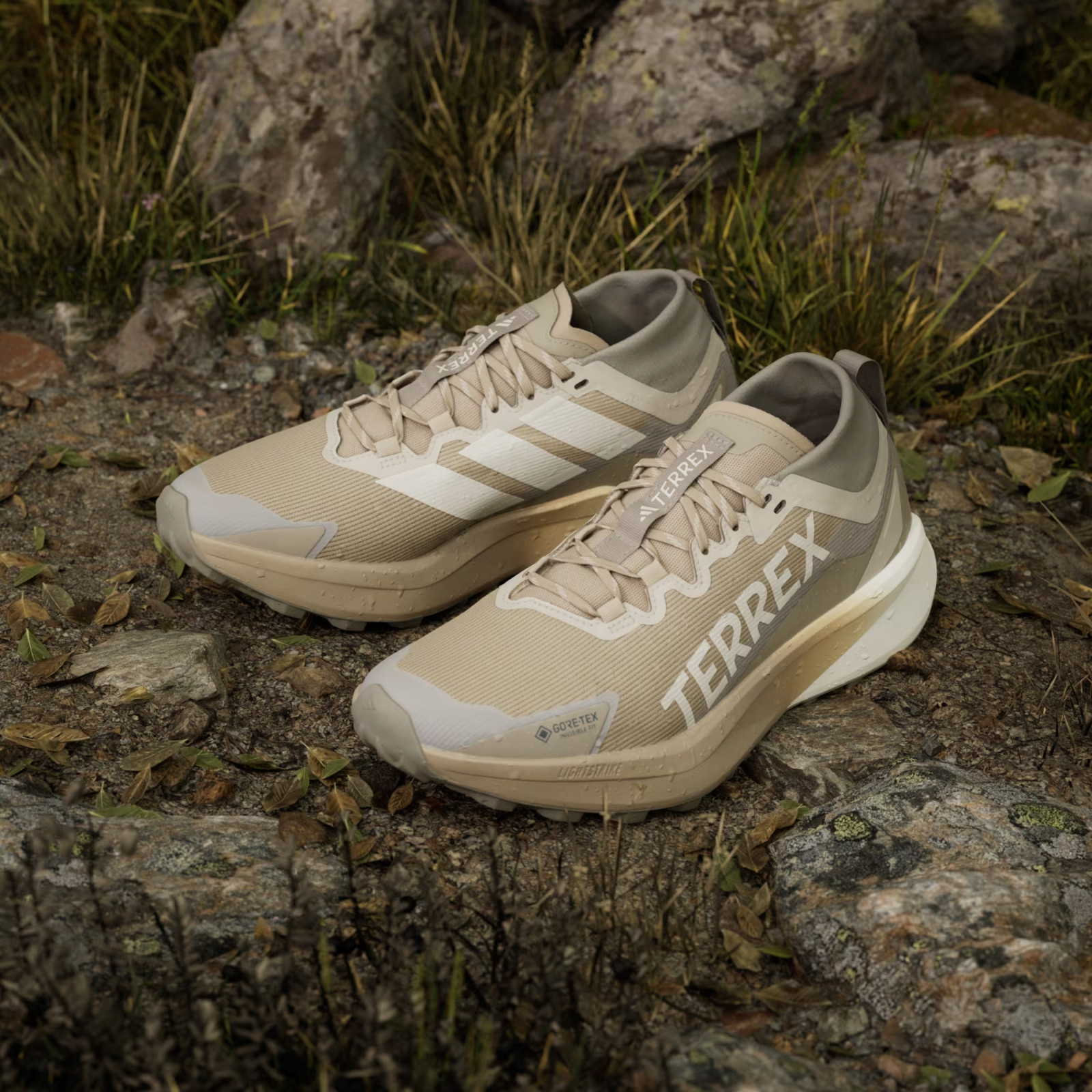 adidas TERREX AGRAVIC GTX TRAIL RUNNING JR1507 Blanch Cargo / Alumina / Beige