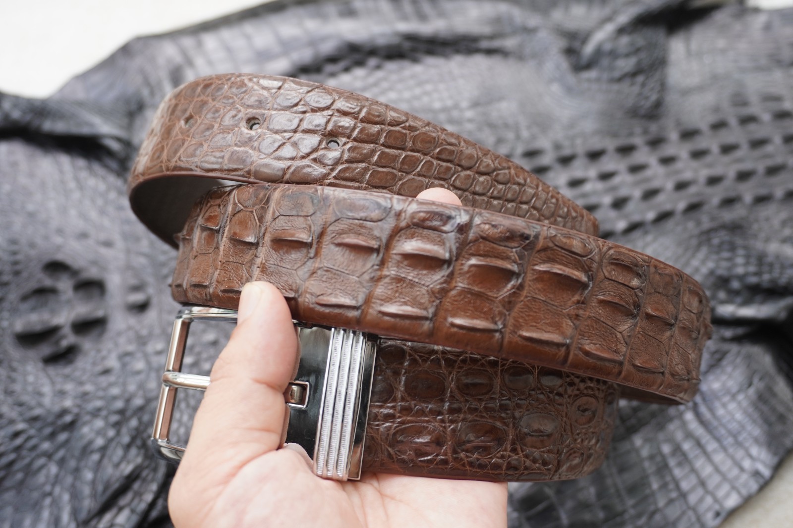 Brown Genuine CROCODILE Hornback LEATHER Skin Men’s Belt W 1.3 inch #M21