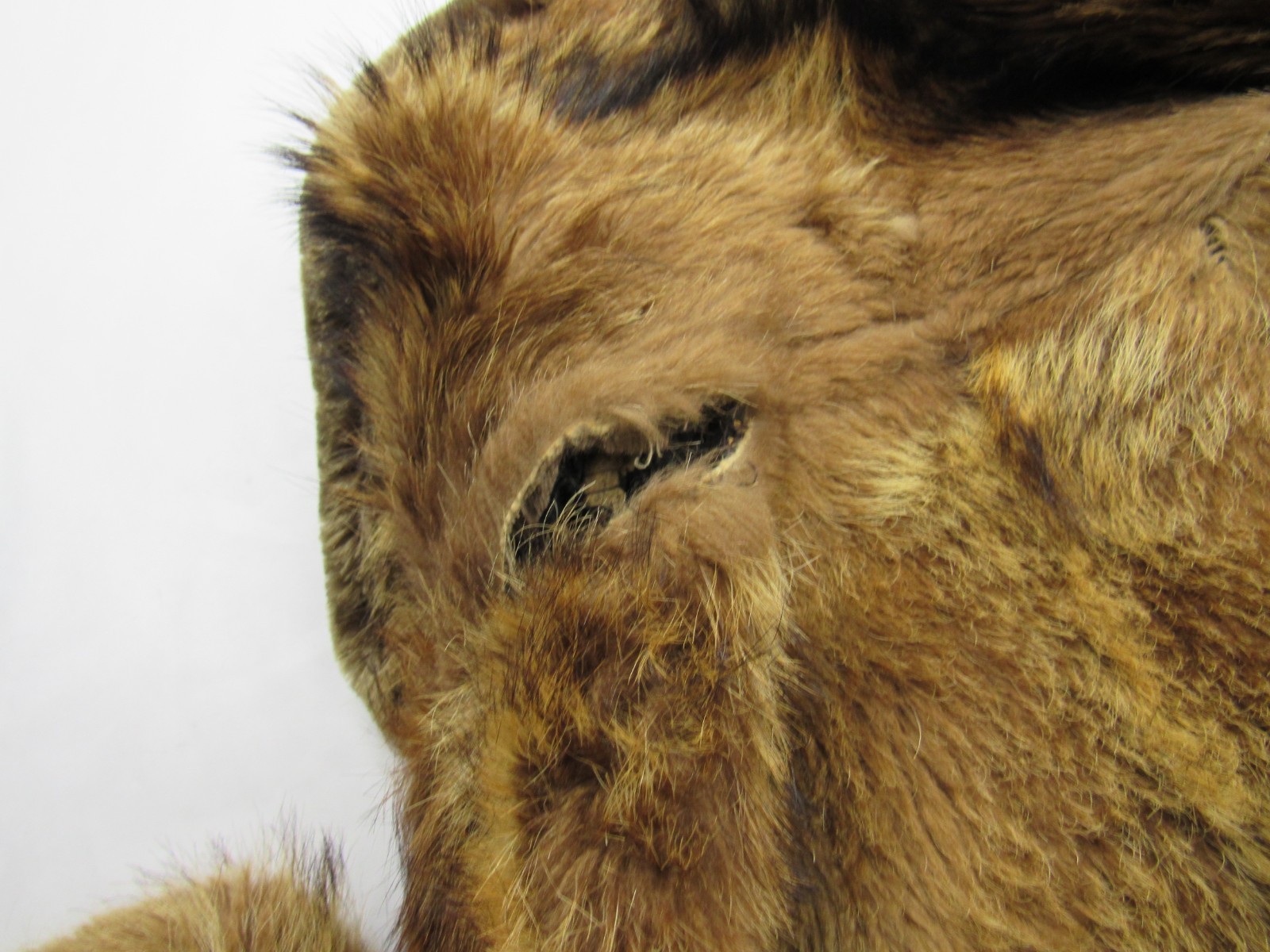 Antique 1800s / 1900s Long Frontier Fur Trapper Mountain Man Grizzly Coat Vtg
