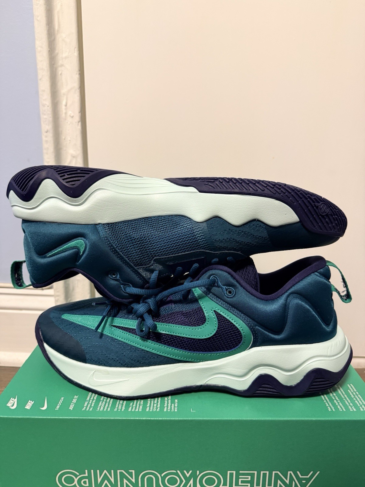 Size 12.5 – Nike Giannis Immortality 3 Geode Teal Purple