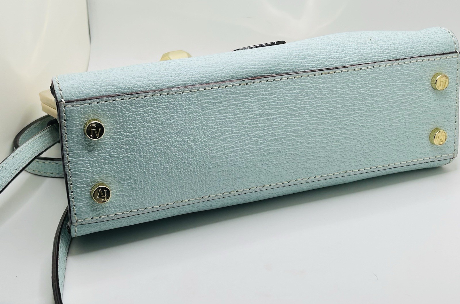 Frances Valentine Jackie Frame Light Aqua Boar Skin Handbag or Crossbody Bag