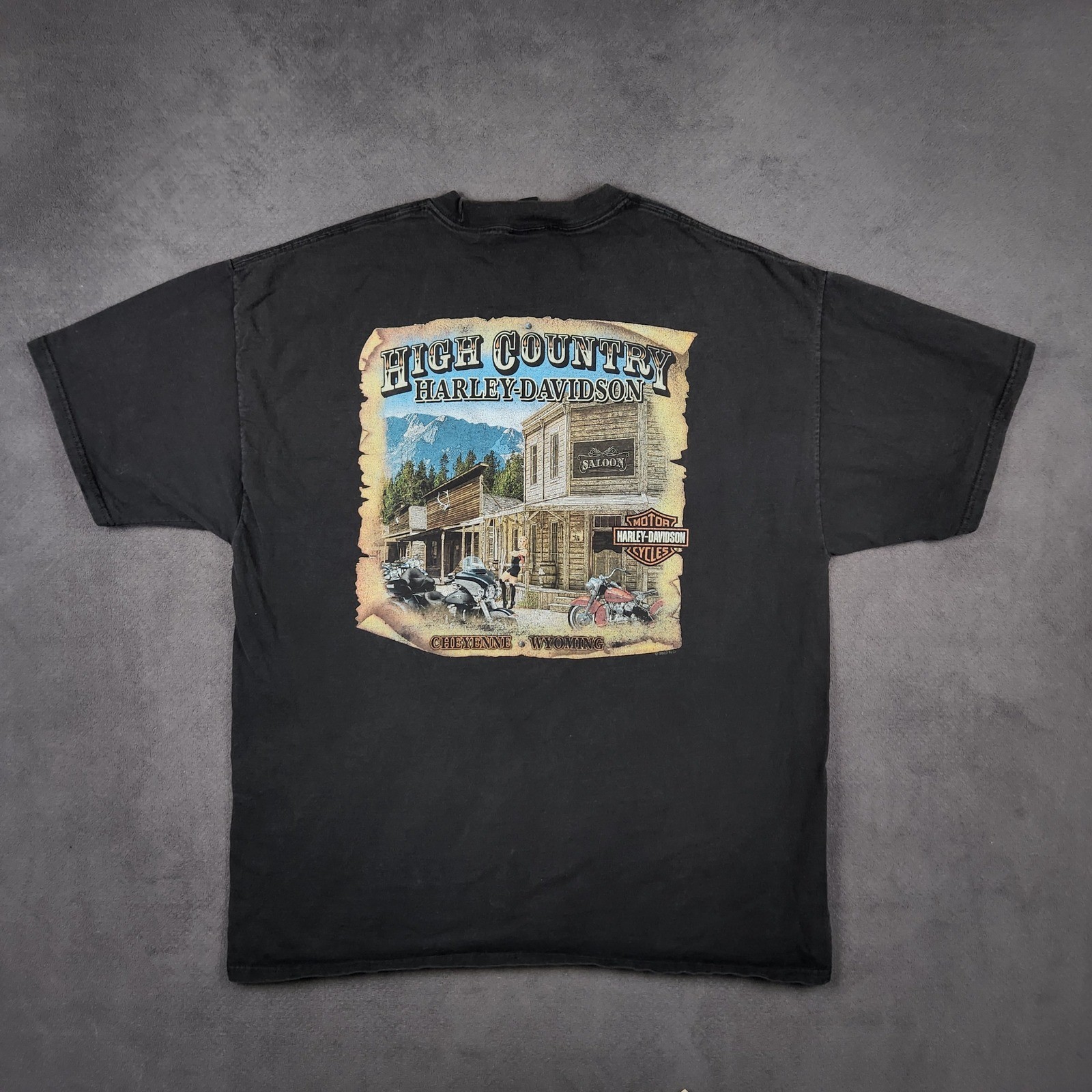 Harley Davidson Graphic Shirt Mens XL Black Flaming Skull High Country Wyoming