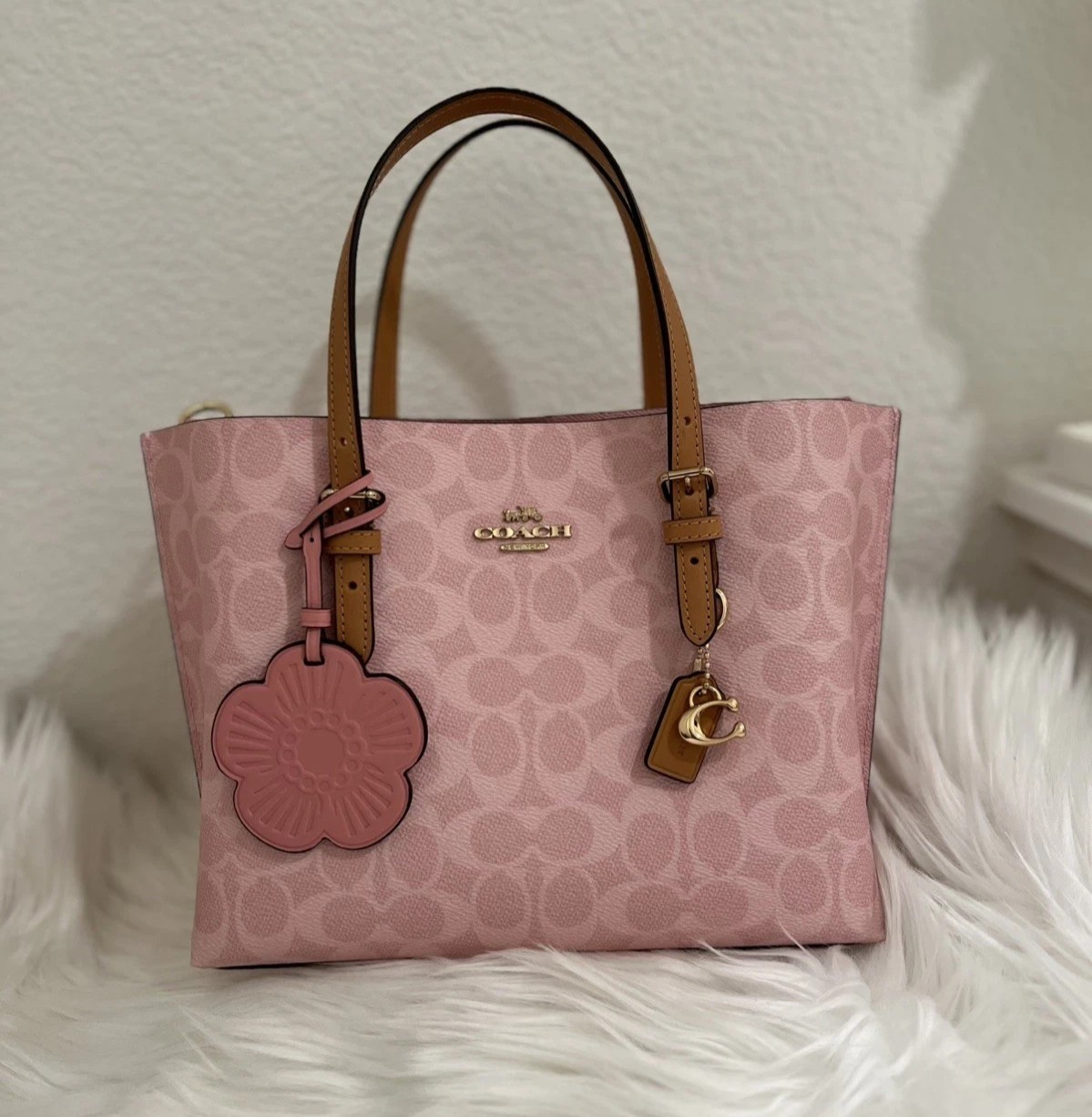 without tags Coach Mollie Tote Bag 25 In Signature Canvas With Charms Go G2U