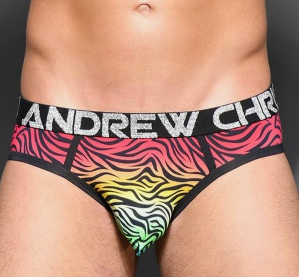 Andrew Christian Pride Zebra Brief – 91795 – Small, Medium & Large
