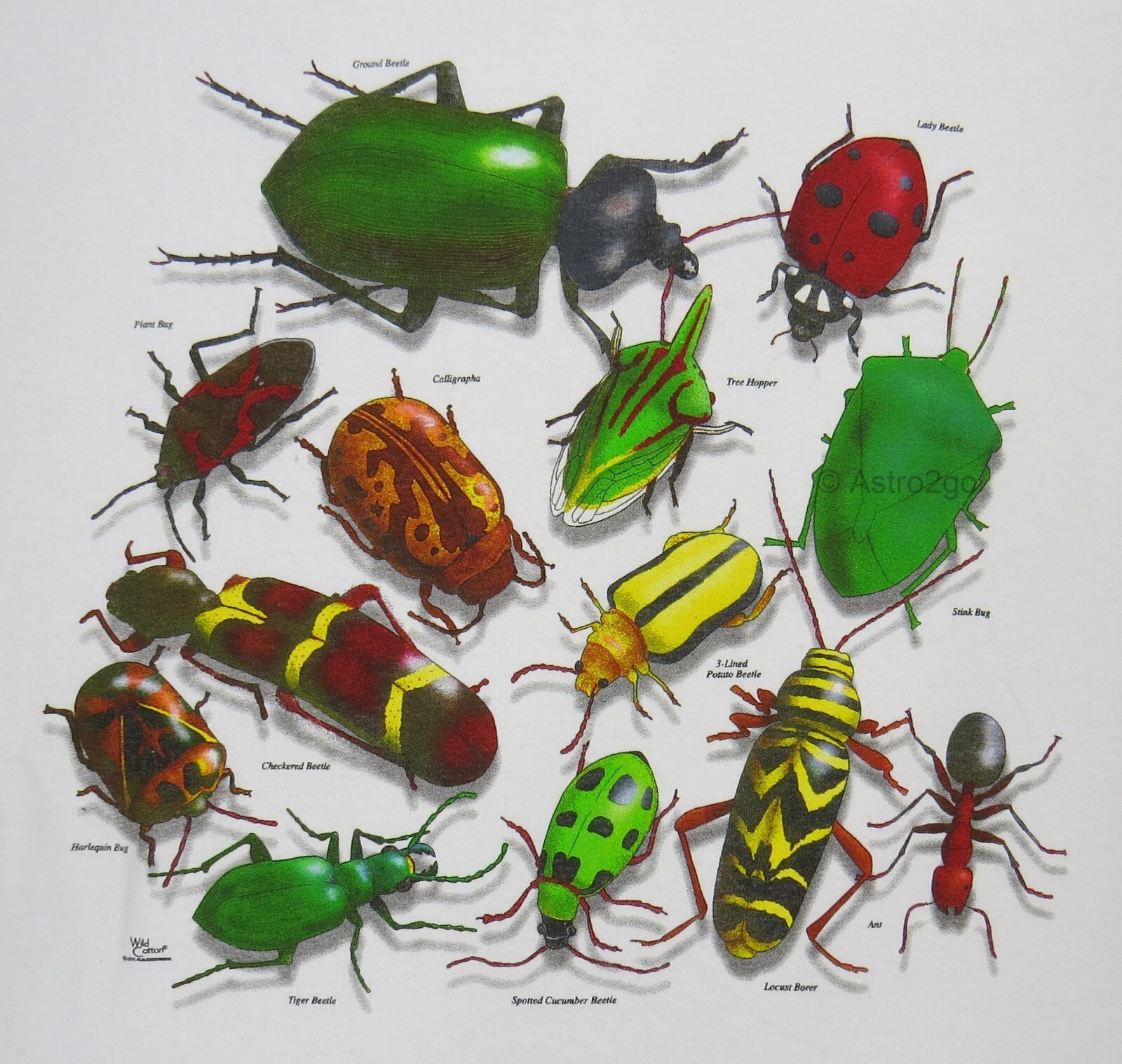 VINTAGE BUGS-Insects Beetles Lady Ant Stink Pests Science Nature T shirt S-2XL