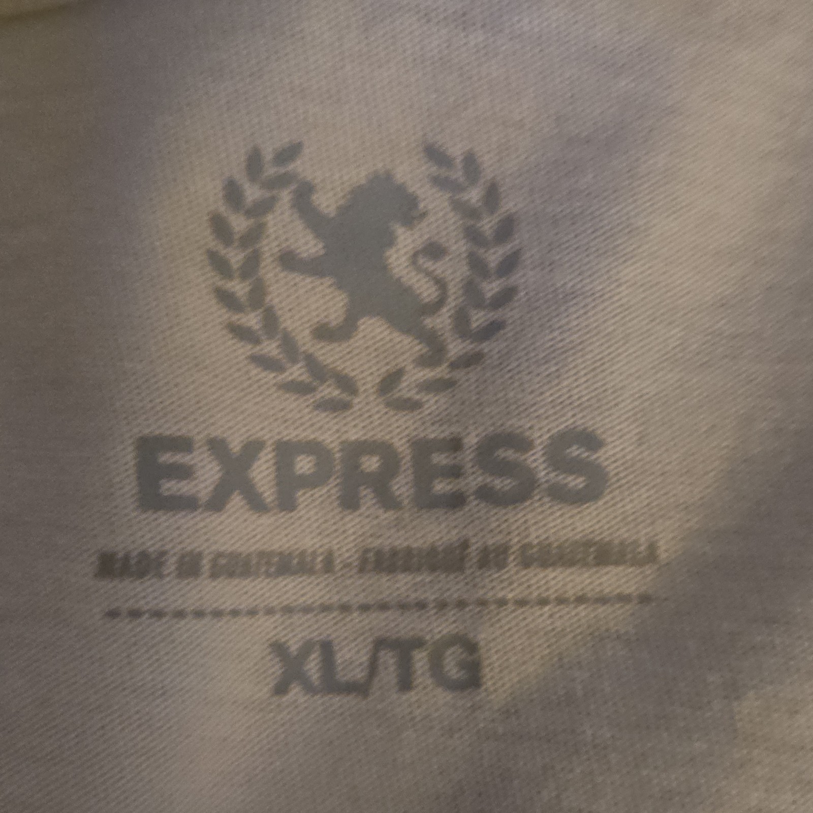 Express Men’s V-Neck Short Sleeve Cotton Jersey City Graphic Tee White XLTG