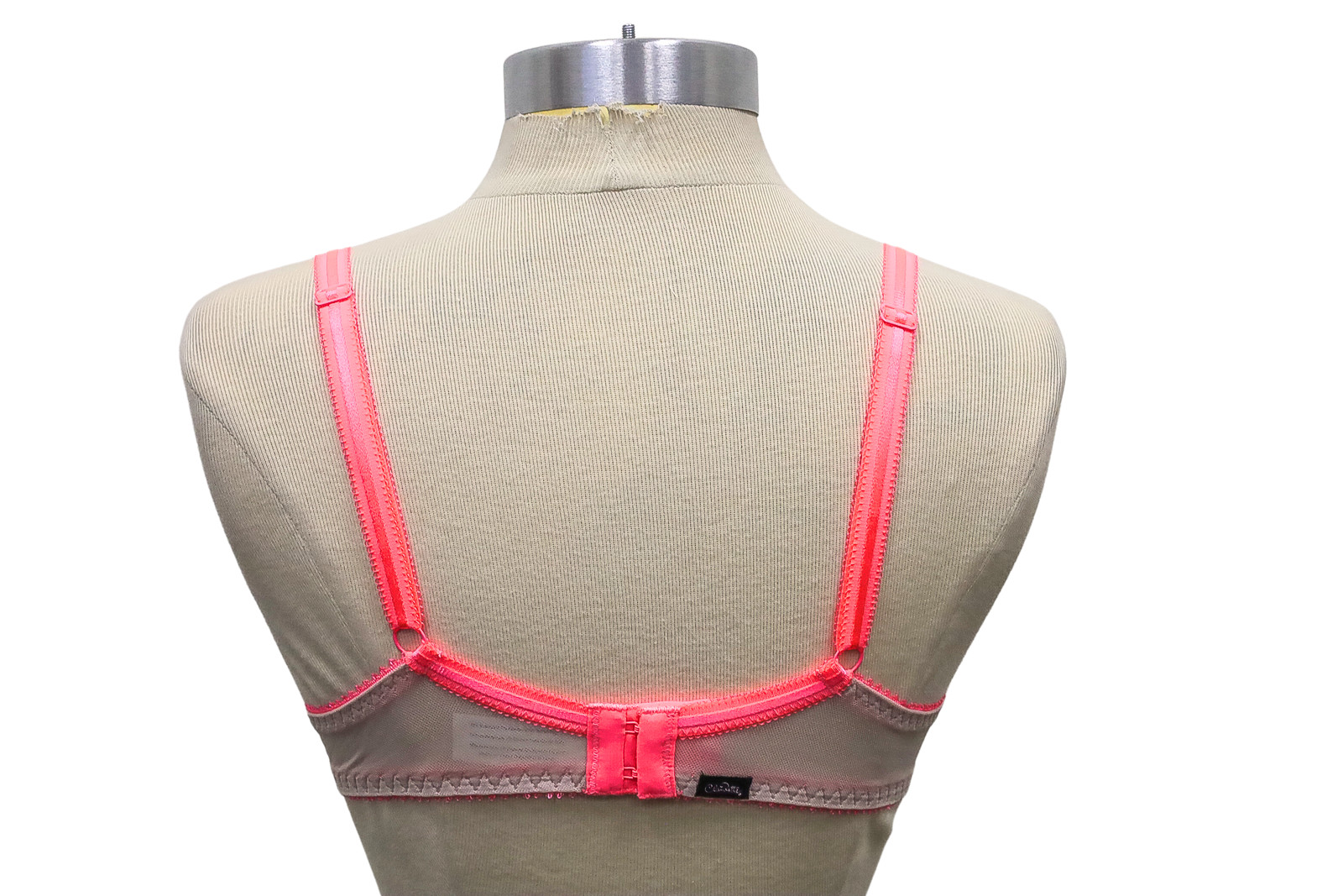 Claudette Dessous Mesh Full Coverage Bra CD2000 Blondie (Nude & Pink)