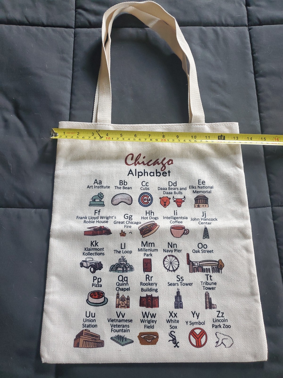 Chicago Tote Bag NEVER Used Great Condition See Pics