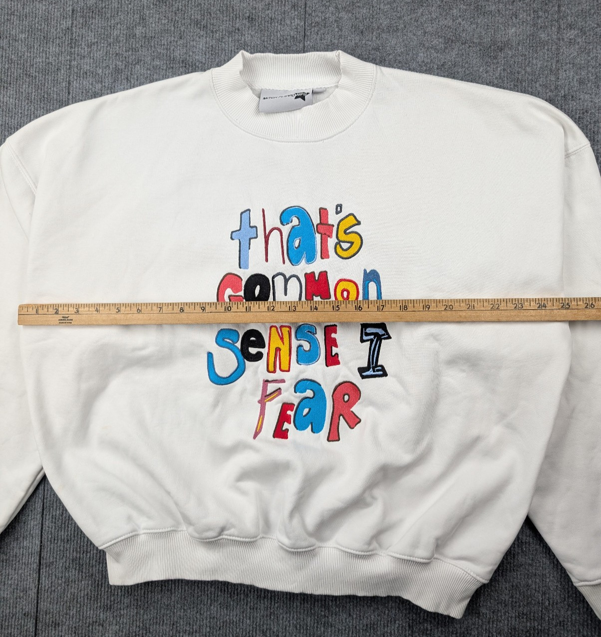 Mitch Flippo MFG Sweatshirt Mens Medium Thats Common Sense I Fear Novelty Heavy