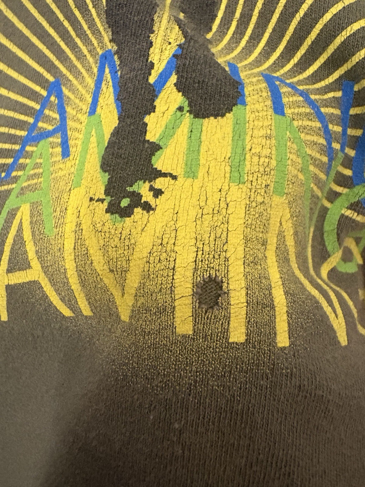 VTG The Flaming Lips 1999 Grail Band Tee