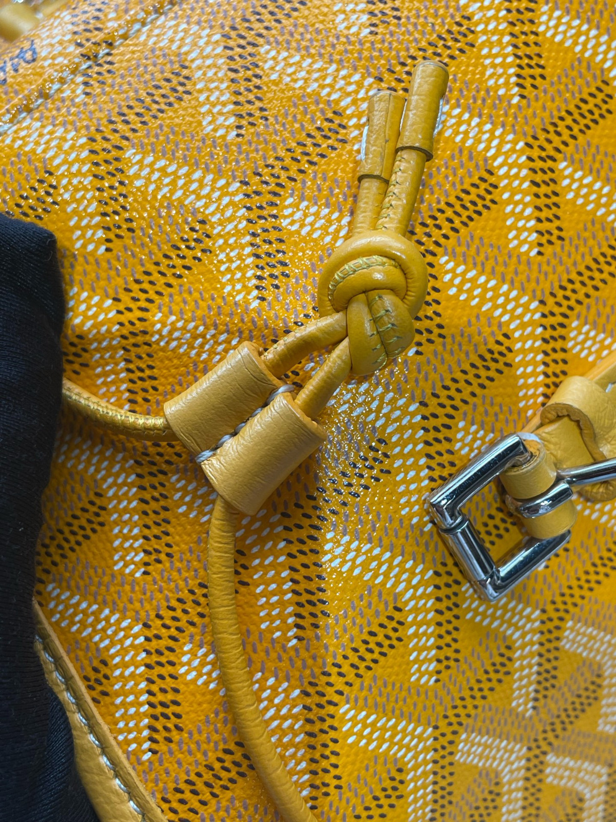 Goyard Alpin Mini Canvas Backpack（ 23×9.5×19 ）cm