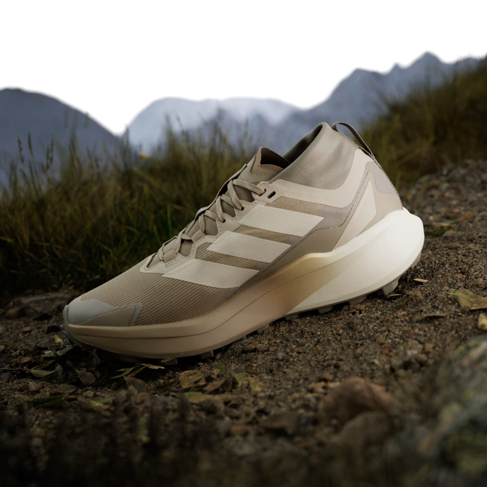 adidas TERREX AGRAVIC GTX TRAIL RUNNING JR1507 Blanch Cargo / Alumina / Beige