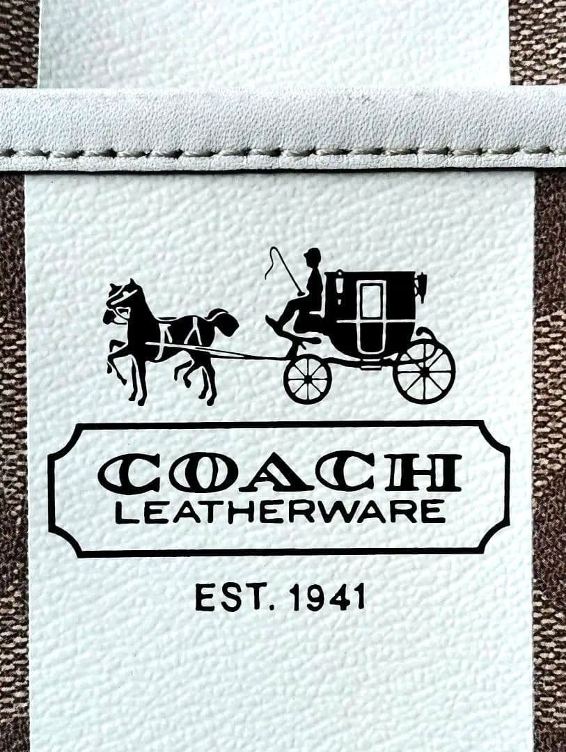 Excellent condition COACH stripe signature 2WAY with protective bag 13a