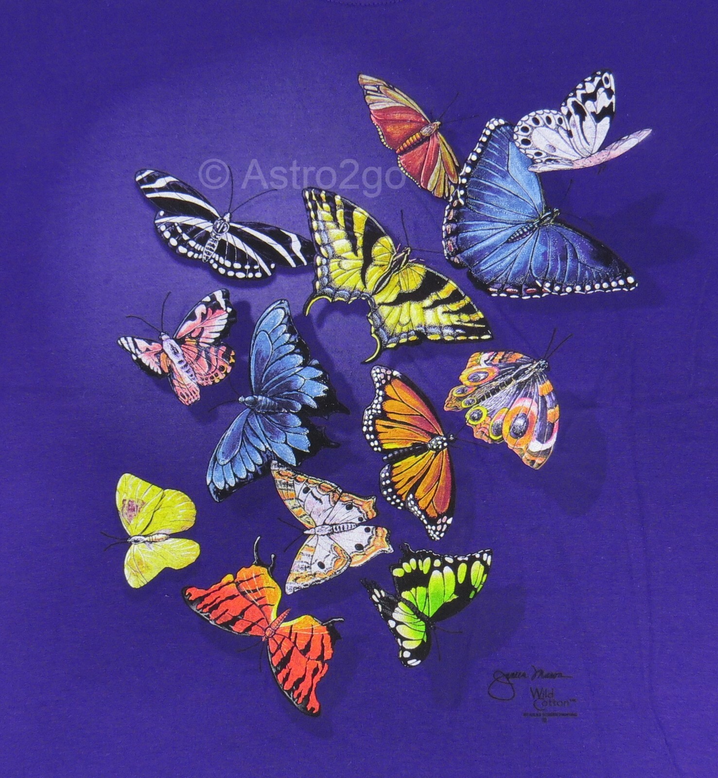 BUTTERFLY SPLASH-Butterflies Insects Bugs Nature Science 2 sided T shirt S-2XL
