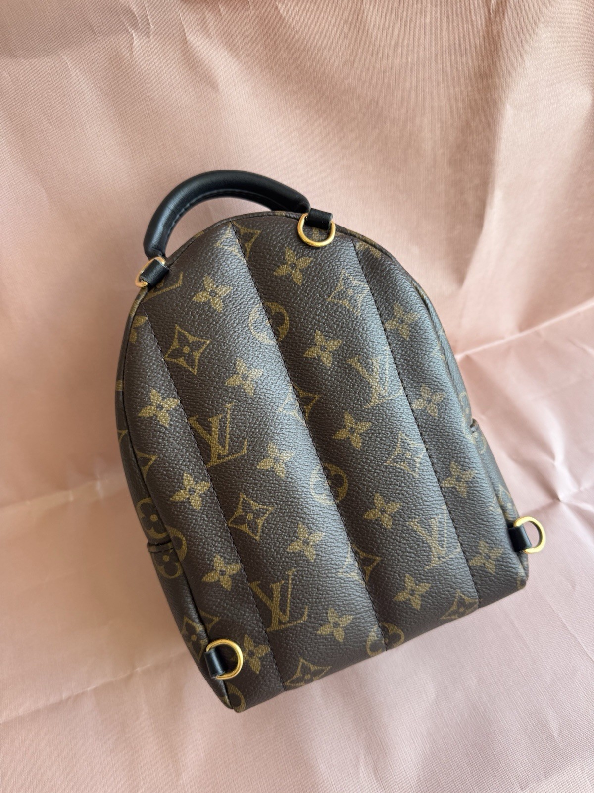 Louis Vuitton Palm Springs Backpack Mini Brown Canvas Monogram