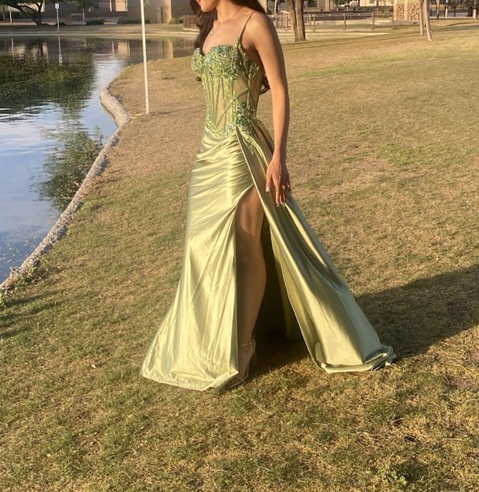 Embellished Lace & Satin Fitted Green Gown By Ladivine By Cinderella Divine