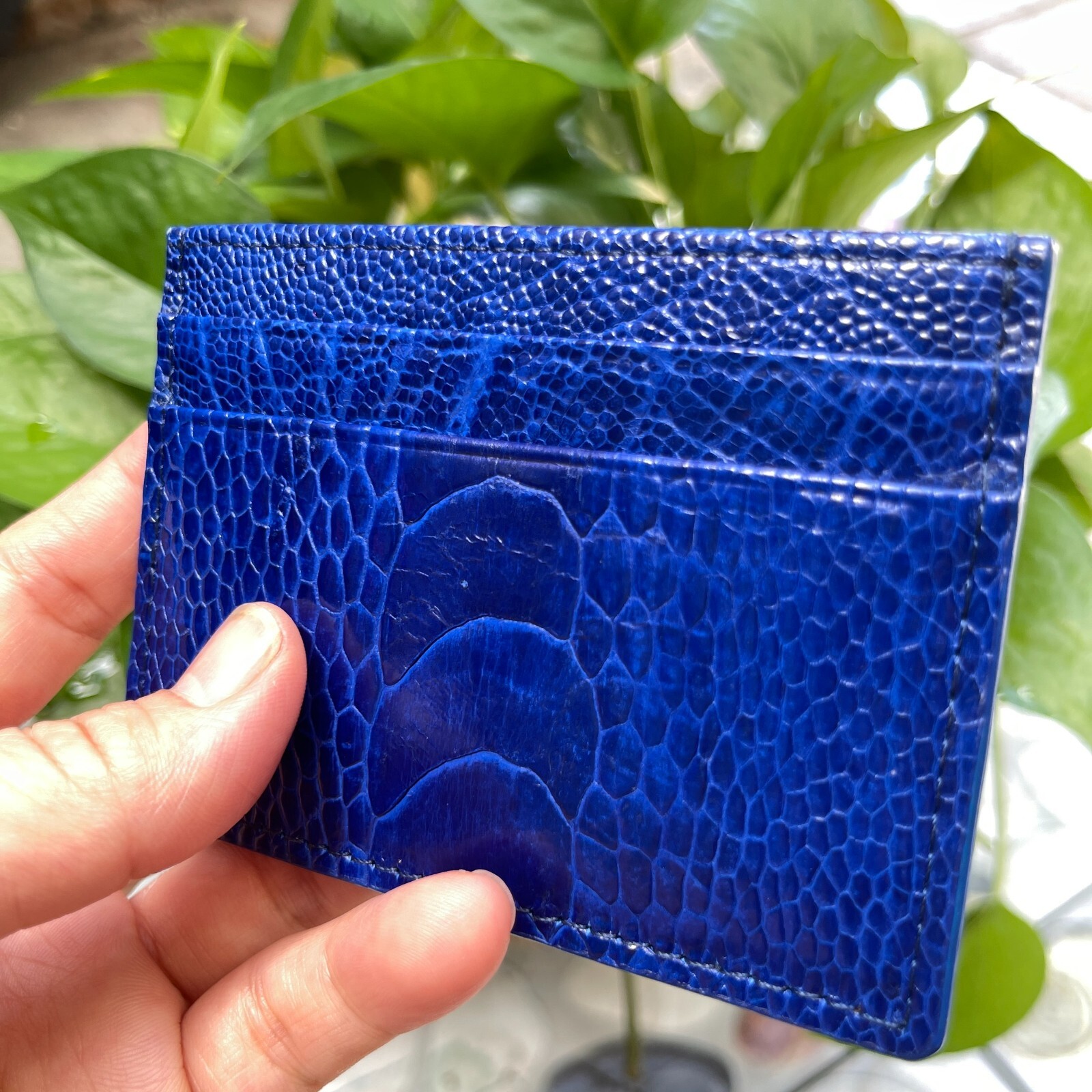 OSTRICH Leather SKIN Credit Card Holder DOUBLE SIDE Genuine OSTRICH Blue