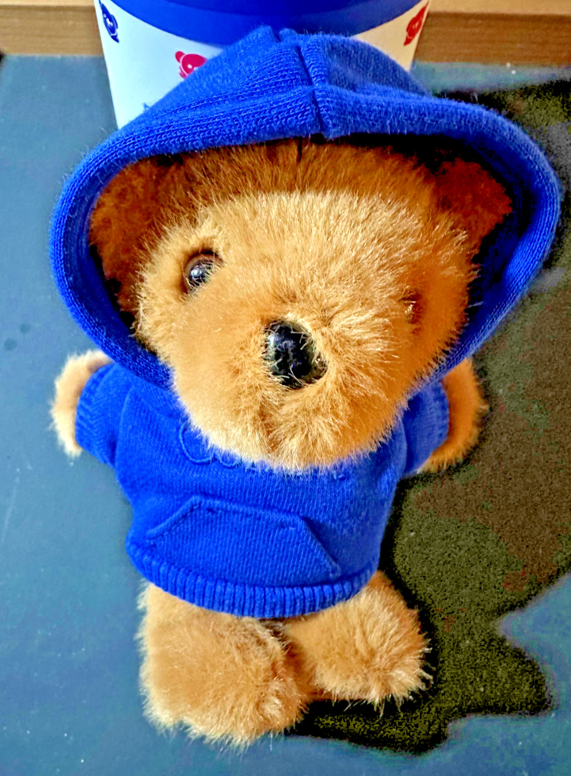 Comfrt Teddy Bear Keychain Cobalt Blue NEW Free Shipping