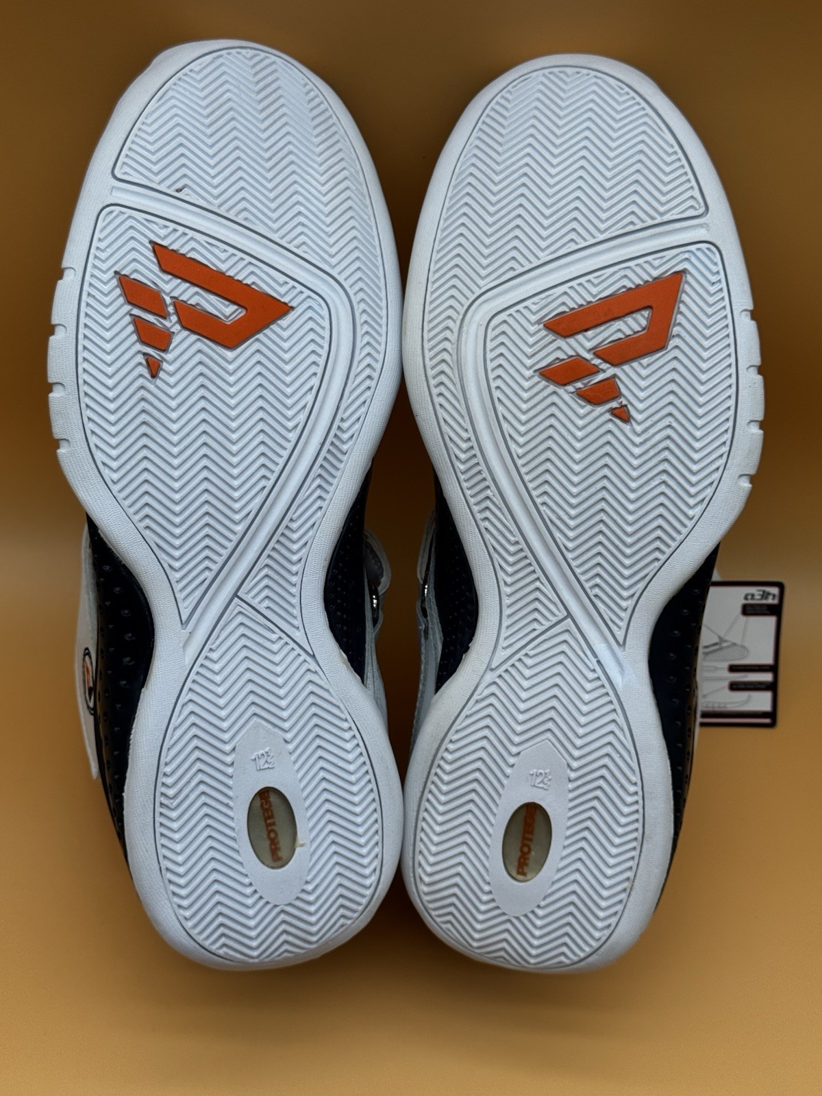 Size 12.5 – PROTÉGÉ A3H X Al Harrington Protege Basketball Shoes Brand New 🆕