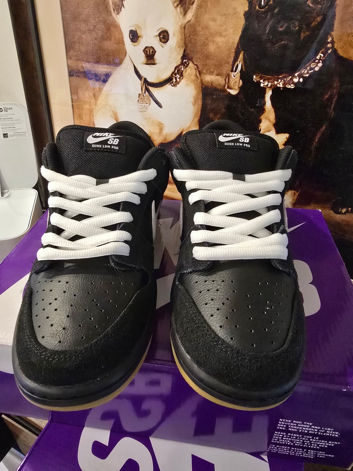 Nike Dunk Low Pro SB Black White Gum Men’s HF3704-003 Men’s Size 10 US NEW
