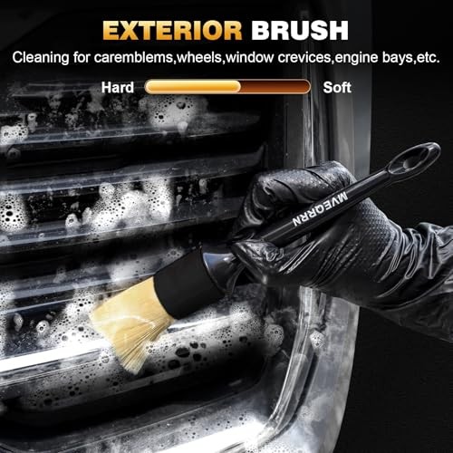10Pcs Car Detailing Brush Set,Boars Hair Car 10pcs detail brush set black