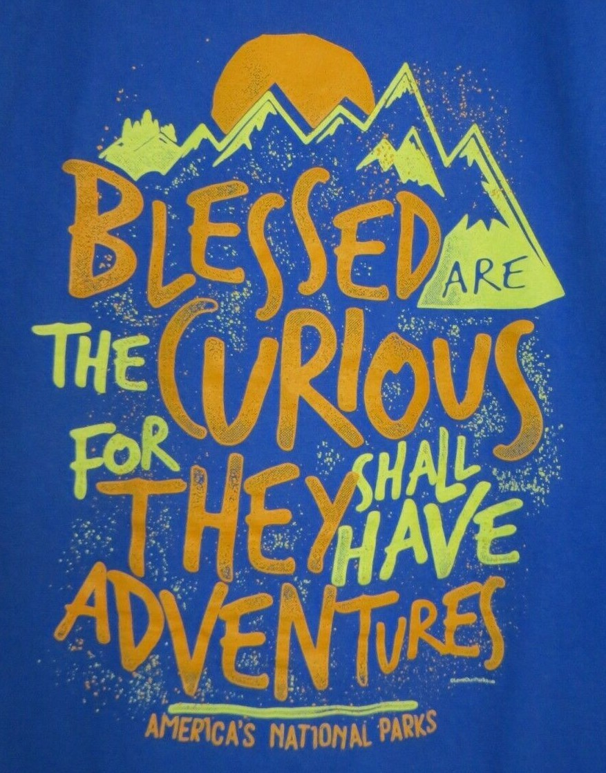 Hanes Shirt Adult XL Blue Short Sleeves National Parks Nature Outdoor Hiking Top