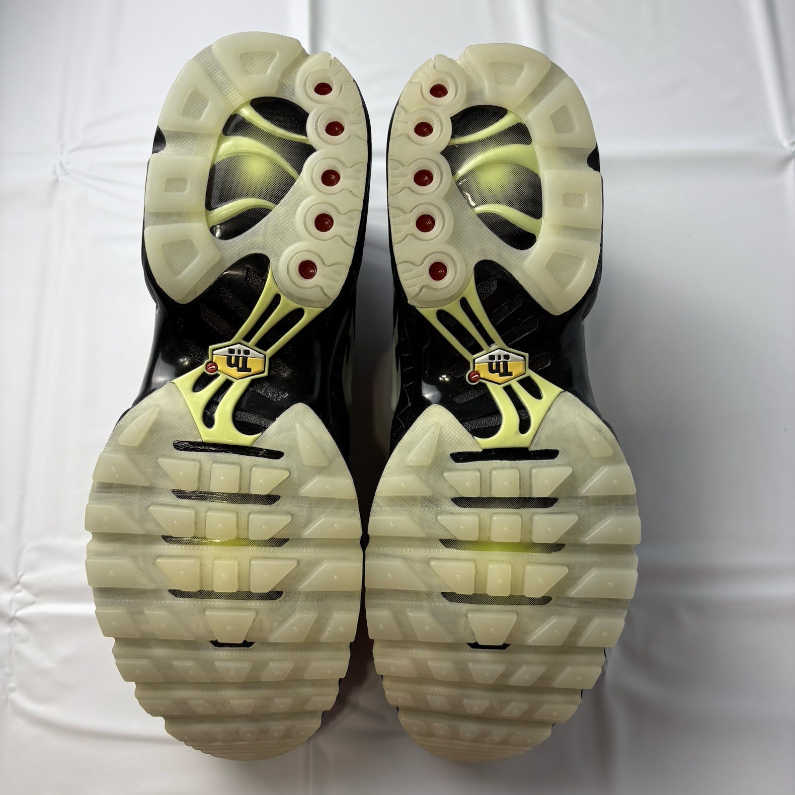 Nike Air Max Plus TN Spider Web Halloween US Men’s Size 10 New in Box DD4004-001