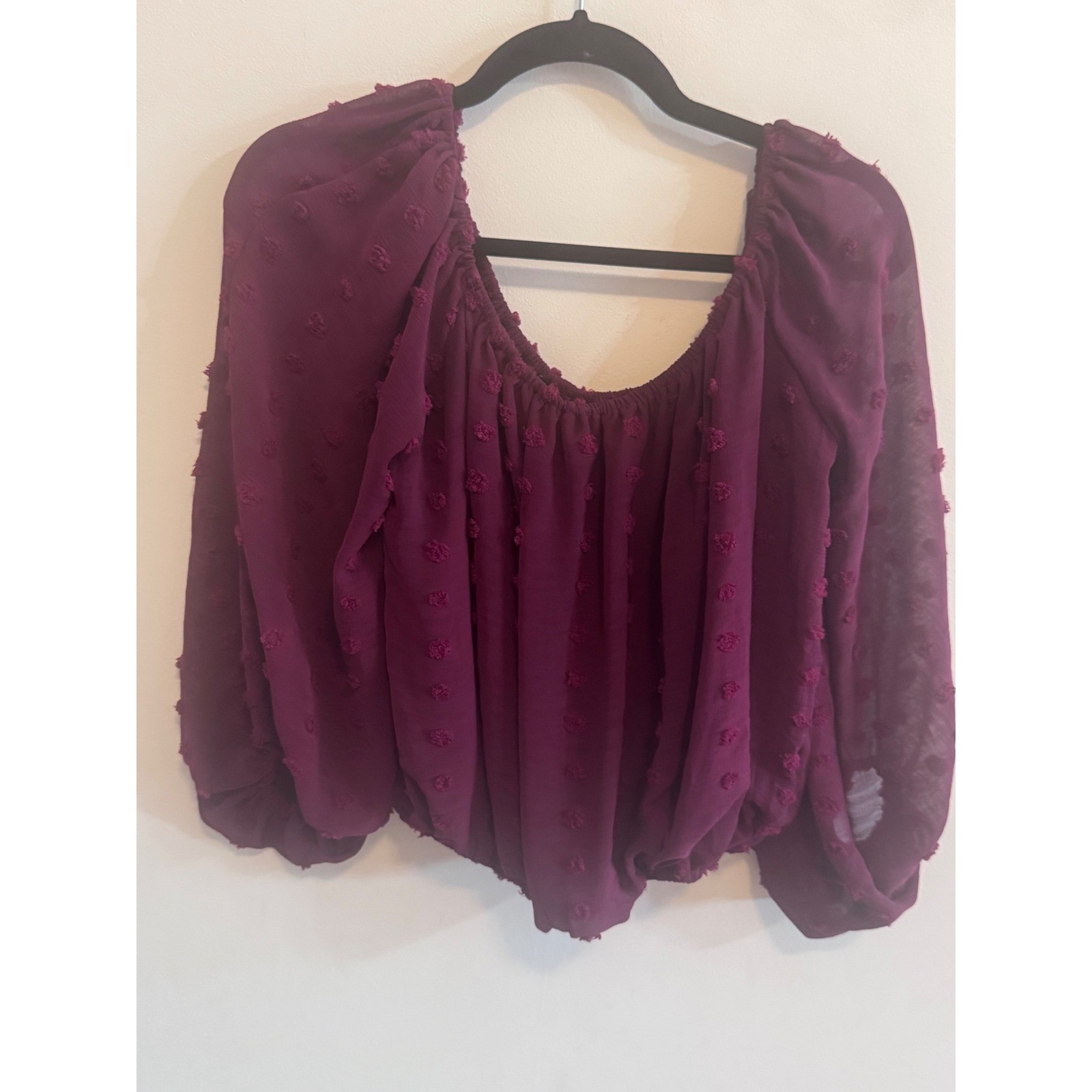 HYFVE Burgundy Swiss Dot Off Shoulder Blouse Long Puff Sleeve Crop Top Small