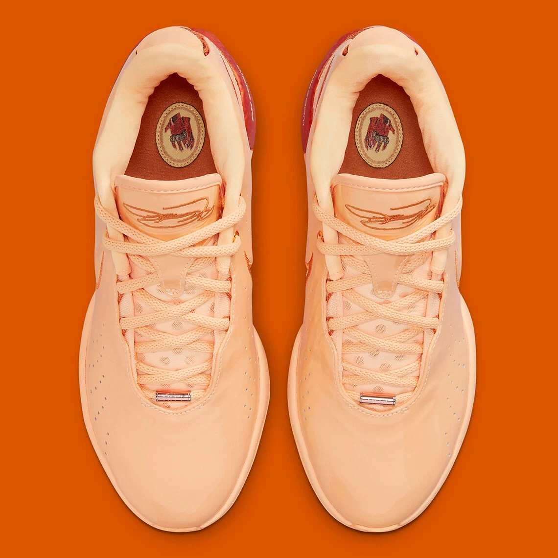 Nike LeBron James XXI 21 Melo Melo Dragon Pearl Melon Tint FV2345-800 sz 10.5